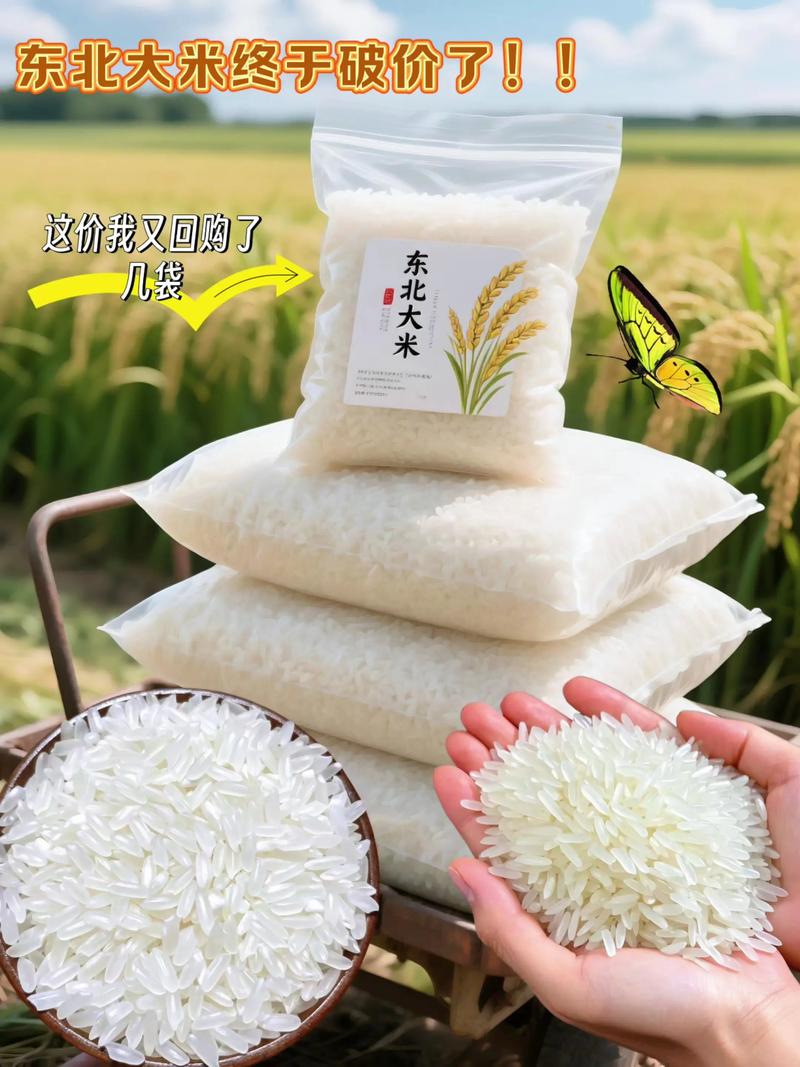 湖南农产品批发